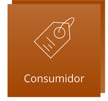 consumidor-destaque1